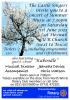 Summer Concert Flyer